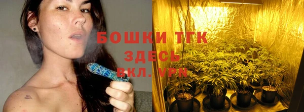 ПСИЛОЦИБИНОВЫЕ ГРИБЫ Бикин